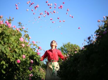 ROSE HARVEST & EGIRDIR LAKE & BEYSEHİR LAKE & LOTUS FLOWERS & STORKS VALLEY