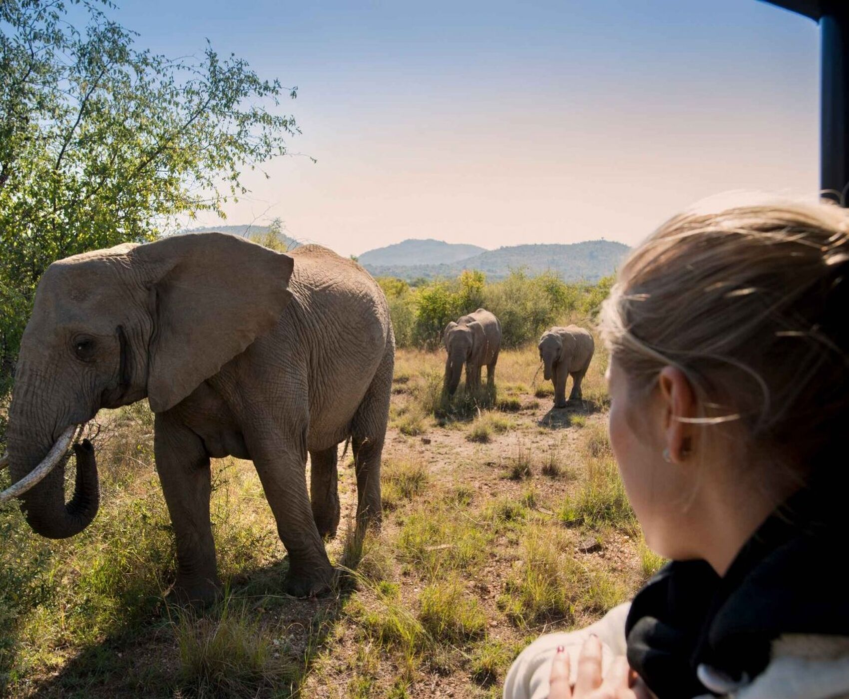 SOUTH AFRICA (VICTORIA WATERFALLS - ZAMBIA) TOUR BY FLIGHT