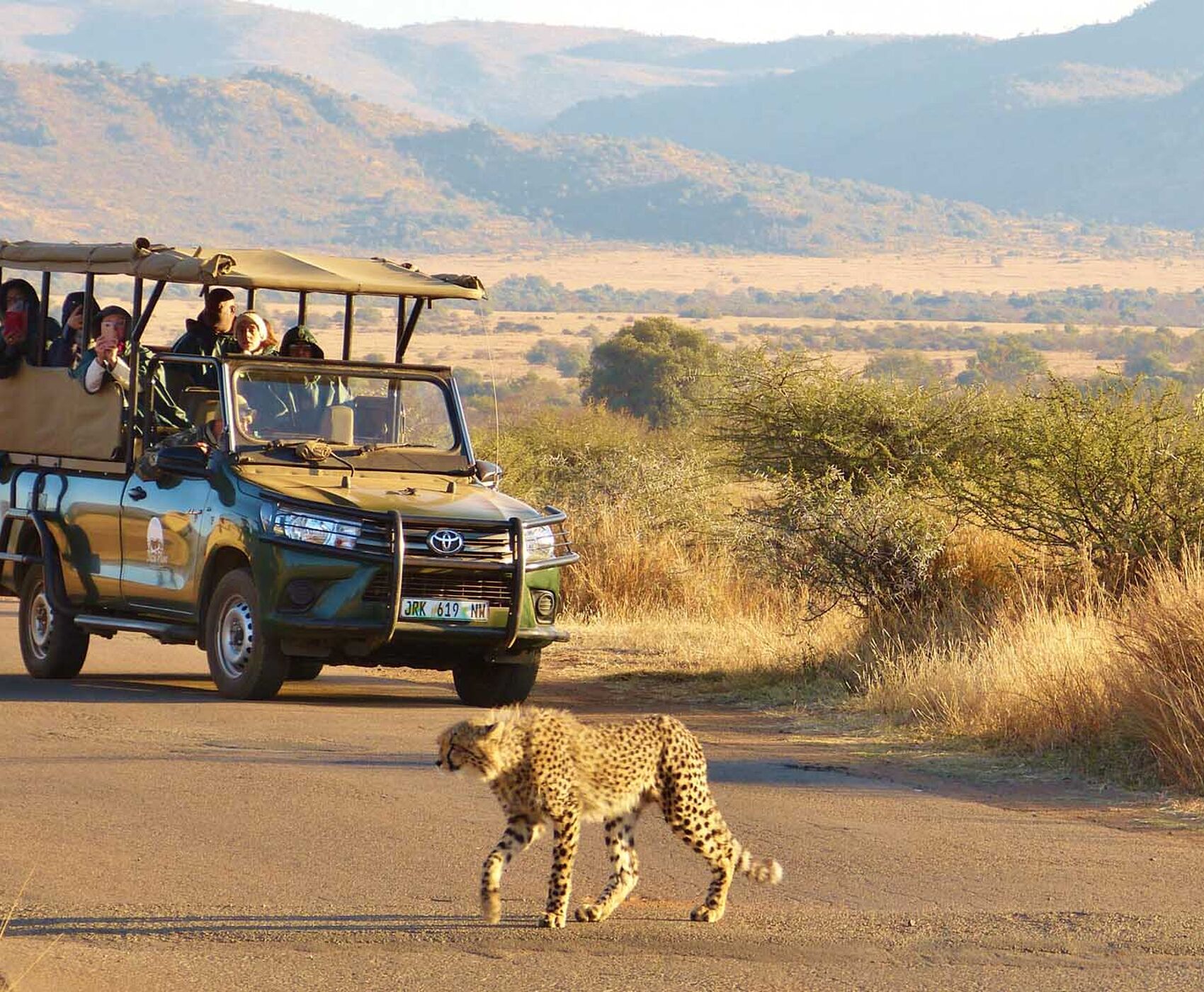 SOUTH AFRICA (VICTORIA WATERFALLS - ZAMBIA) TOUR BY FLIGHT